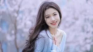 最新电视剧5